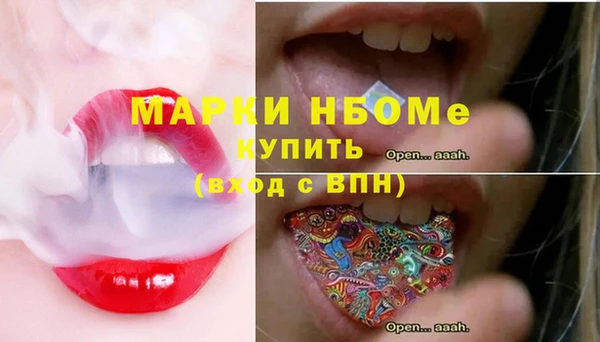винт Няндома