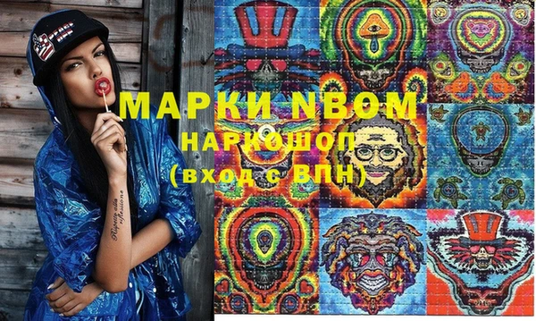 винт Няндома
