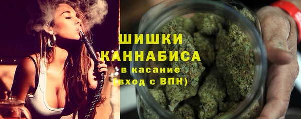apvp Кирсанов