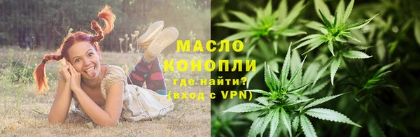 винт Няндома
