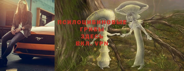 амф Нязепетровск