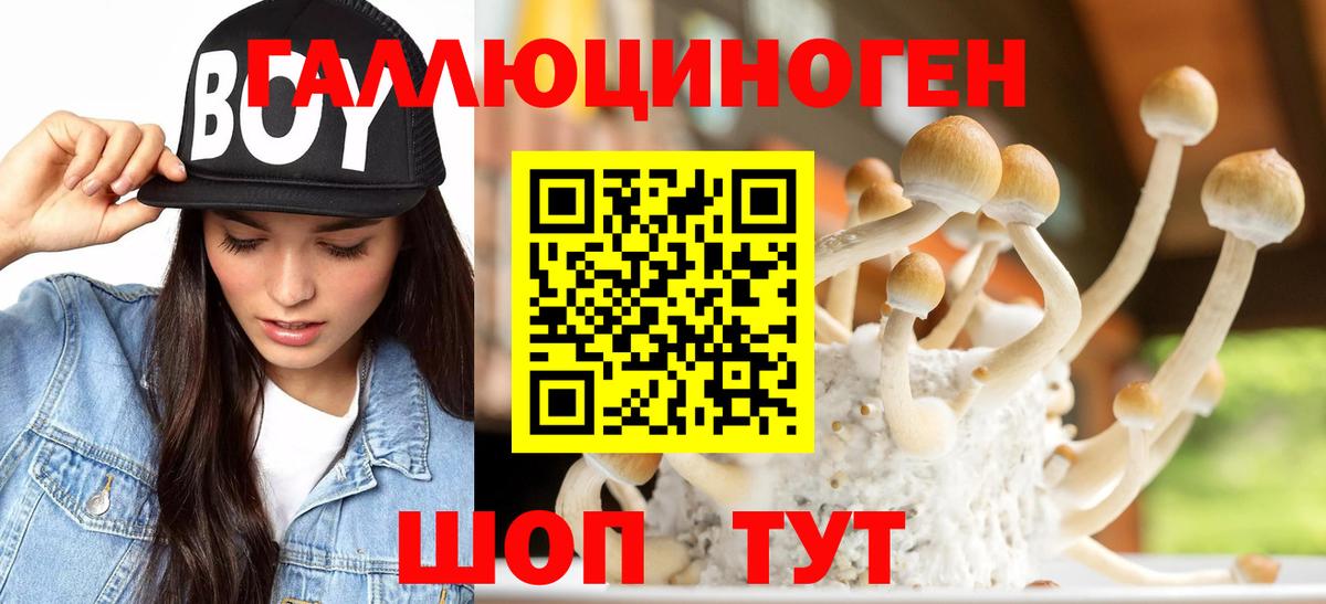 Галлюциногенные грибы Magic Shrooms Краснознаменск